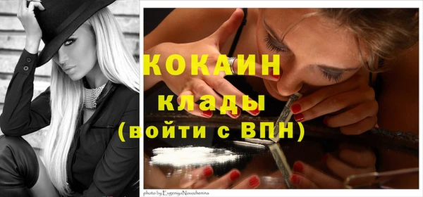 мет Дмитров