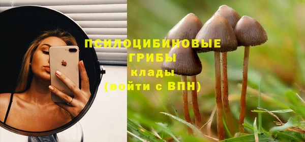 герыч Дмитровск
