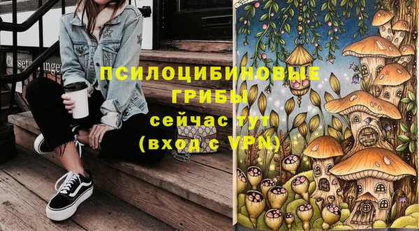 мет Дмитров