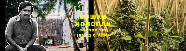 меф VHQ Дмитриев