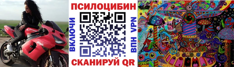 Псилоцибиновые грибы Psilocybe  Купить закладки  Звенигород 